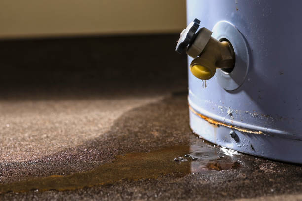 Carpet water damage restoration in Manchester, MD