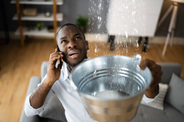 Best Mold removal after water damage  in Manchester, MD