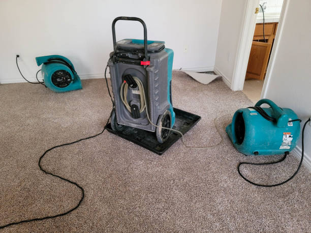 Best Professional water damage repair  in Manchester, MD