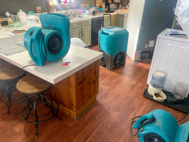 Best Water damage contractors near me  in Manchester, MD
