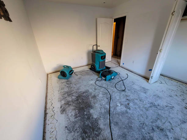 Best Flood restoration services  in Manchester, MD