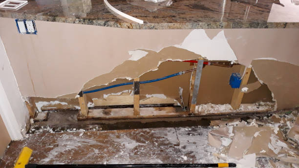 Best Flood damage cleanup  in Manchester, MD
