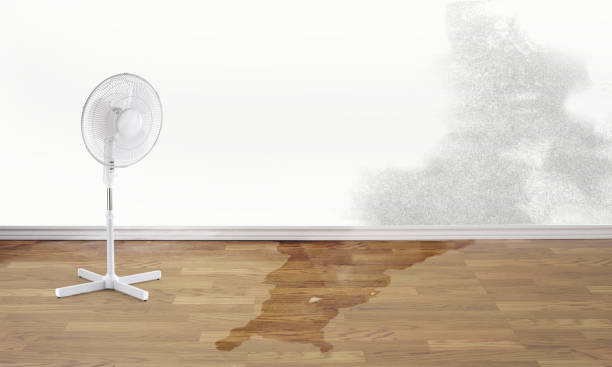 Best Water damage restoration near me  in Manchester, MD