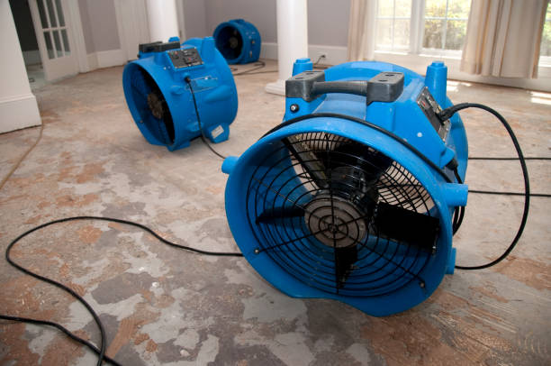 Best Mold removal after water damage  in Manchester, MD