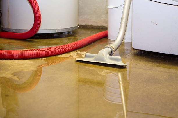 Best Flooded house restoration  in Manchester, MD