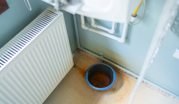 Best Water damage cleanup near me  in Manchester, MD