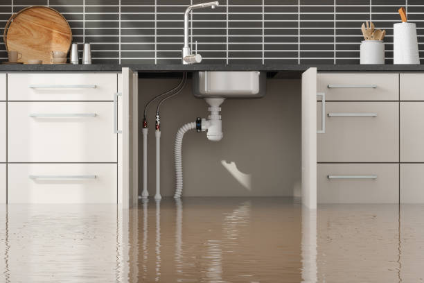 Best Ceiling water damage repair  in Manchester, MD