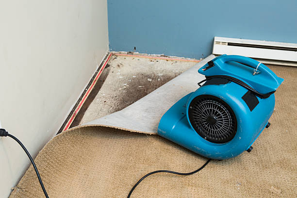 Best Flood damage cleanup  in Manchester, MD